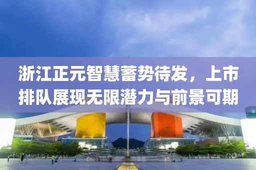 浙江正元智慧蓄势待发，上市排队展现无限潜力与前景可期
