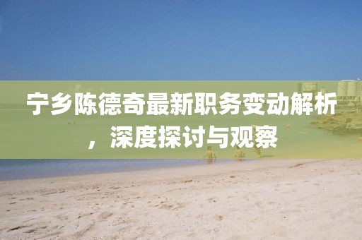 宁乡陈德奇最新职务变动解析，深度探讨与观察