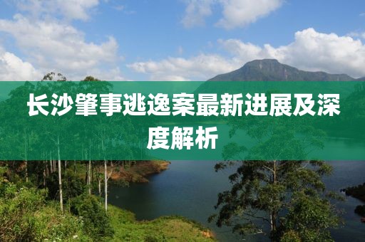 长沙肇事逃逸案最新进展及深度解析