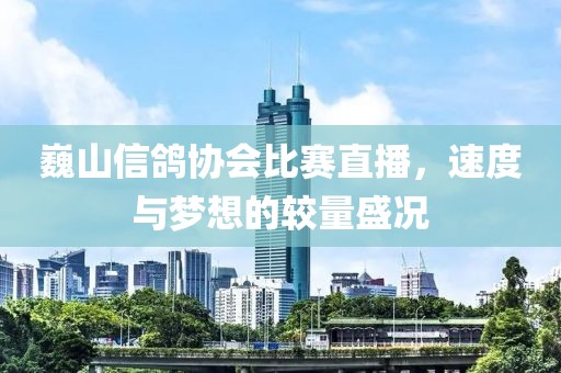 巍山信鸽协会比赛直播，速度与梦想的较量盛况