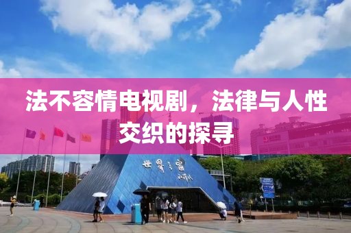 法不容情电视剧，法律与人性交织的探寻