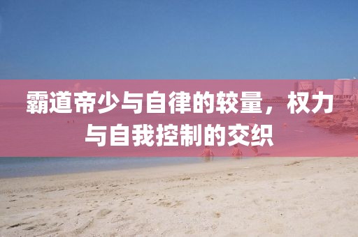 霸道帝少与自律的较量，权力与自我控制的交织