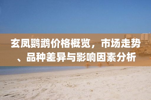 玄凤鹦鹉价格概览，市场走势、品种差异与影响因素分析