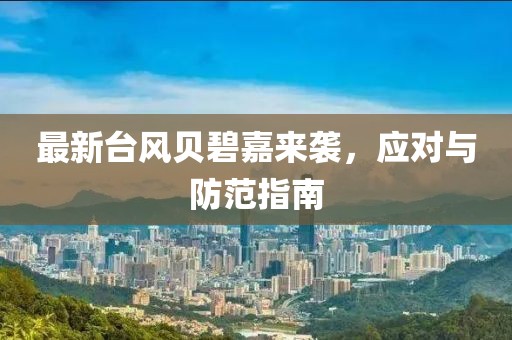 最新台风贝碧嘉来袭，应对与防范指南