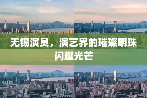 无锡演员，演艺界的璀璨明珠闪耀光芒