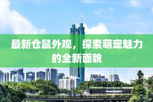 最新仓鼠外观，探索萌宠魅力的全新面貌
