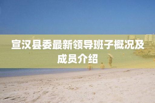 宣汉县委最新领导班子概况及成员介绍