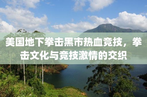 美国地下拳击黑市热血竞技，拳击文化与竞技激情的交织