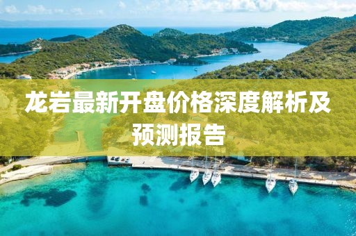龙岩最新开盘价格深度解析及预测报告