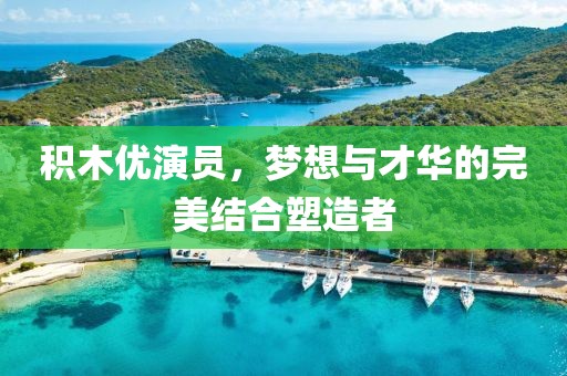 积木优演员，梦想与才华的完美结合塑造者