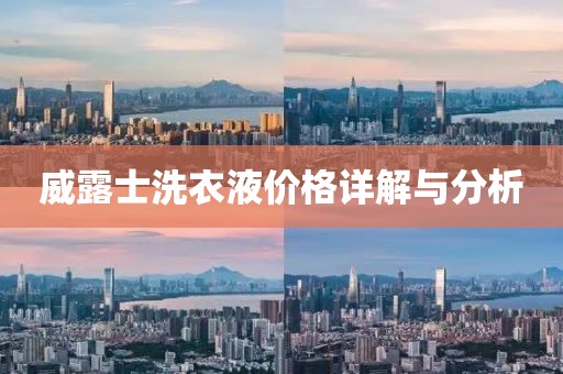 威露士洗衣液价格详解与分析