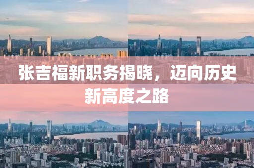 张吉福新职务揭晓，迈向历史新高度之路