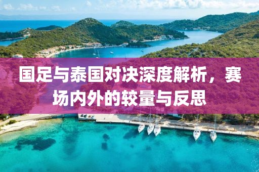 国足与泰国对决深度解析，赛场内外的较量与反思