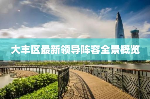 大丰区最新领导阵容全景概览