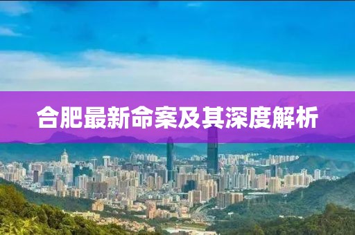 合肥最新命案及其深度解析