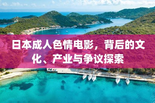 日本成人色情电影，背后的文化、产业与争议探索