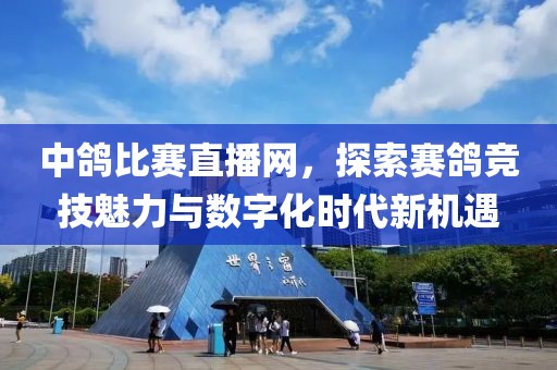 中鸽比赛直播网，探索赛鸽竞技魅力与数字化时代新机遇