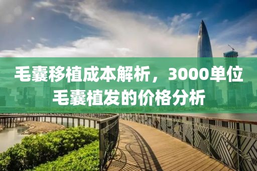 毛囊移植成本解析，3000单位毛囊植发的价格分析