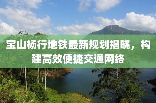 宝山杨行地铁最新规划揭晓，构建高效便捷交通网络