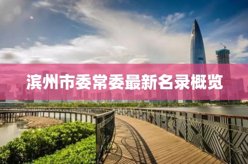 滨州市委常委最新名录概览
