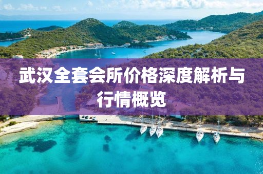 武汉全套会所价格深度解析与行情概览