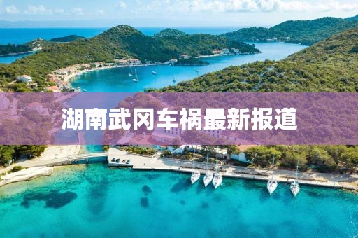 湖南武冈车祸最新报道