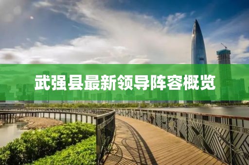 武强县最新领导阵容概览