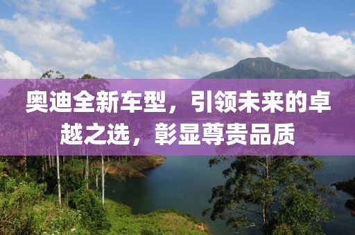 奥迪全新车型，引领未来的卓越之选，彰显尊贵品质