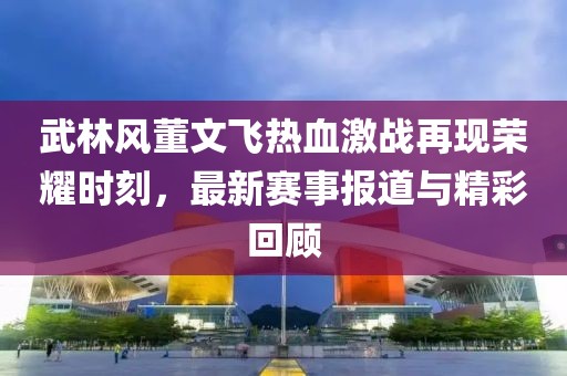 武林风董文飞热血激战再现荣耀时刻，最新赛事报道与精彩回顾
