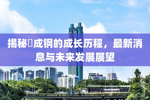 揭秘苪成钢的成长历程，最新消息与未来发展展望