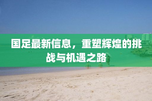 国足最新信息，重塑辉煌的挑战与机遇之路