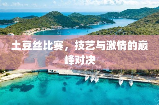 土豆丝比赛，技艺与激情的巅峰对决