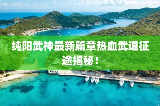 纯阳武神最新篇章热血武道征途揭秘！