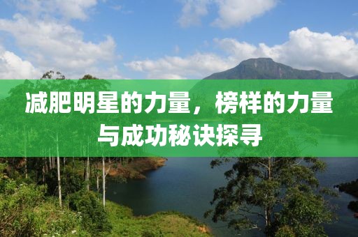 减肥明星的力量，榜样的力量与成功秘诀探寻
