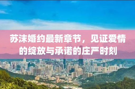 苏沫婚约最新章节，见证爱情的绽放与承诺的庄严时刻
