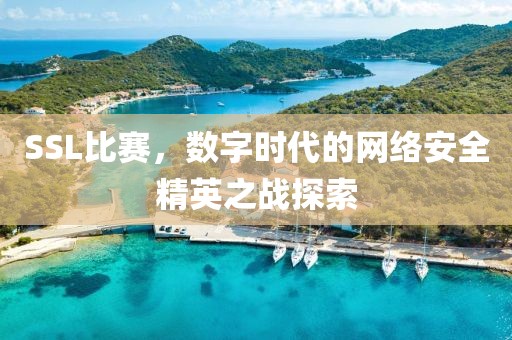 SSL比赛，数字时代的网络安全精英之战探索