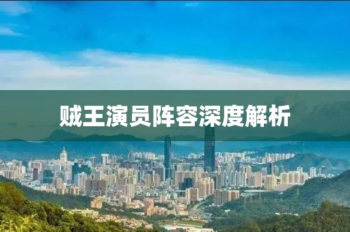 贼王演员阵容深度解析