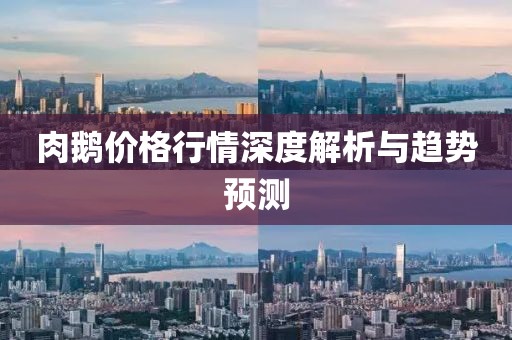 肉鹅价格行情深度解析与趋势预测