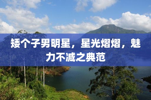 矮个子男明星，星光熠熠，魅力不减之典范