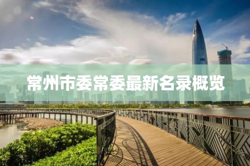 常州市委常委最新名录概览