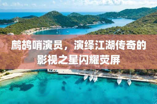 鹧鸪哨演员，演绎江湖传奇的影视之星闪耀荧屏