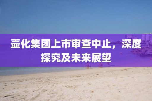 壶化集团上市审查中止，深度探究及未来展望