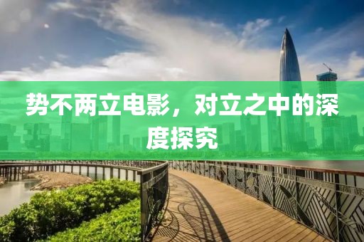 势不两立电影，对立之中的深度探究