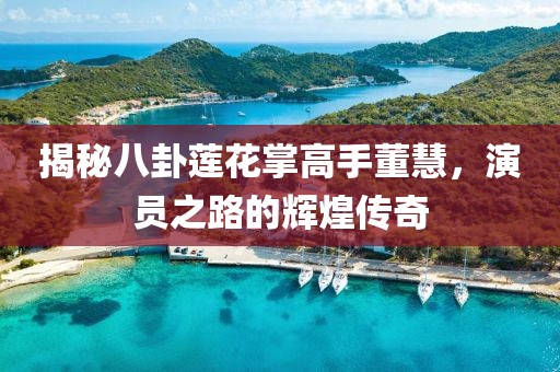 揭秘八卦莲花掌高手董慧，演员之路的辉煌传奇
