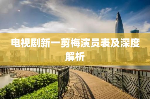 电视剧新一剪梅演员表及深度解析
