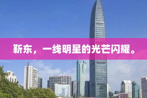 靳东，一线明星的光芒闪耀。