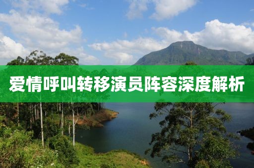 爱情呼叫转移演员阵容深度解析