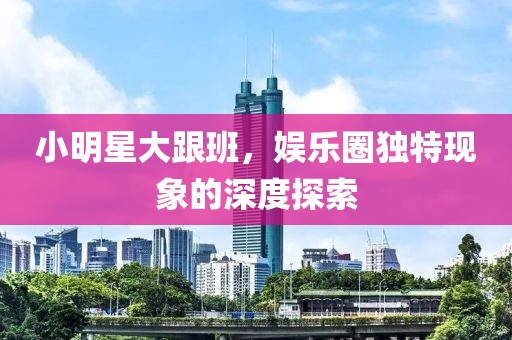 小明星大跟班，娱乐圈独特现象的深度探索