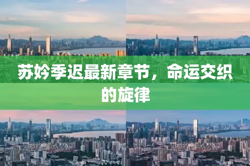 苏妗季迟最新章节，命运交织的旋律