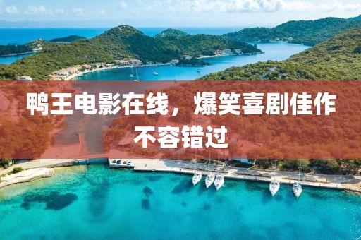 鸭王电影在线，爆笑喜剧佳作不容错过